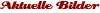 Aktuelle Bilder